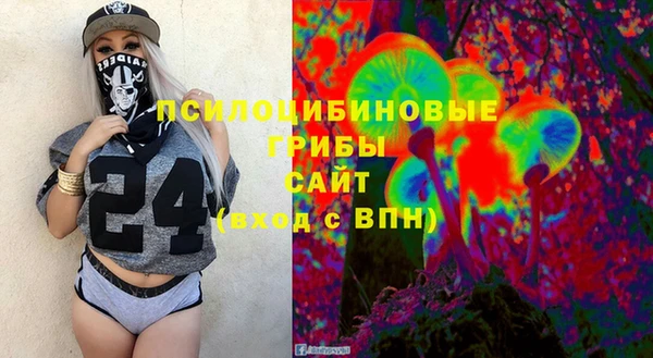 прущие грибы Усолье-Сибирское