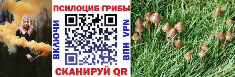 Псилоцибиновые грибы ЛСД блэк спрут онион Королёв