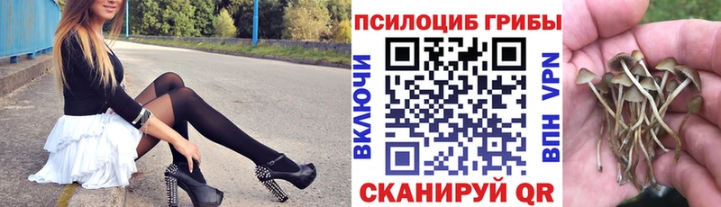 Псилоцибиновые грибы мицелий Королёв